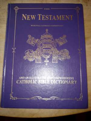 Douay Rheims Haydock Holy Bible in English